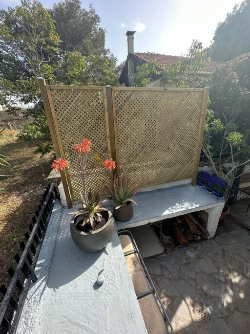 Caja De Anthea Villa Artemida (Attica)