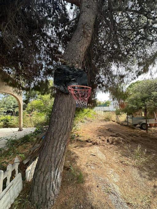 Villa Caja De Anthea Artemida (Attica)
