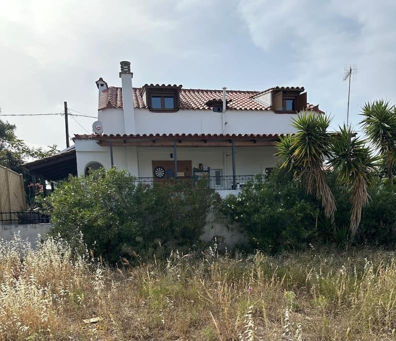 Villa Caja De Anthea Artemida (Attica)